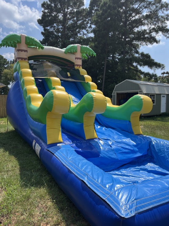 16 ft Palm Tree Slide