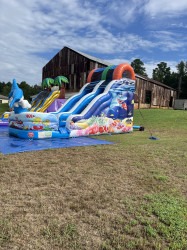 19 ft Aquatic Rush Slide