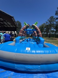 30 ft BLUE TROPICAL DUAL LANE SLIP N SLIDE