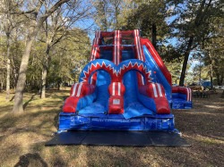 20ft Flash Dual Lane Slide