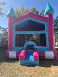 Aqua Pink Dream Bouncer